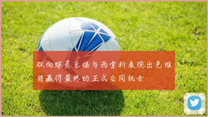 双向球员乐福与西索科表现出色谁将赢得最终的正式合同机会