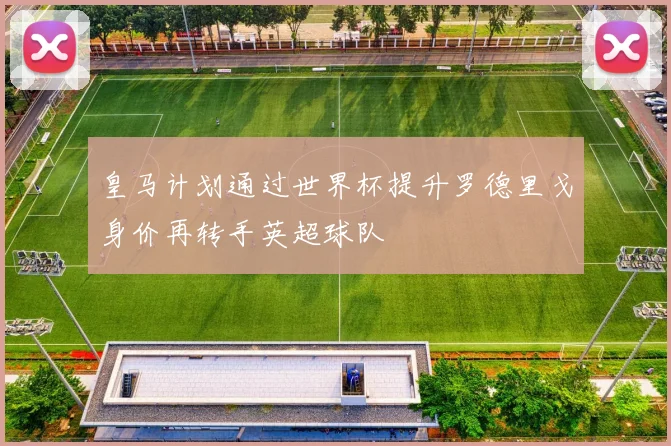 皇马计划通过世界杯提升罗德里戈身价再转手英超球队